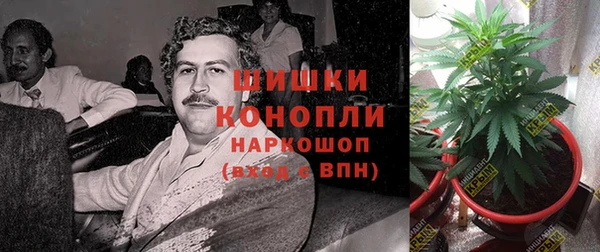 каннабис Абаза
