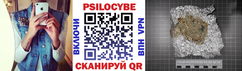 Псилоцибиновые грибы Psilocybe  Урус-Мартан 