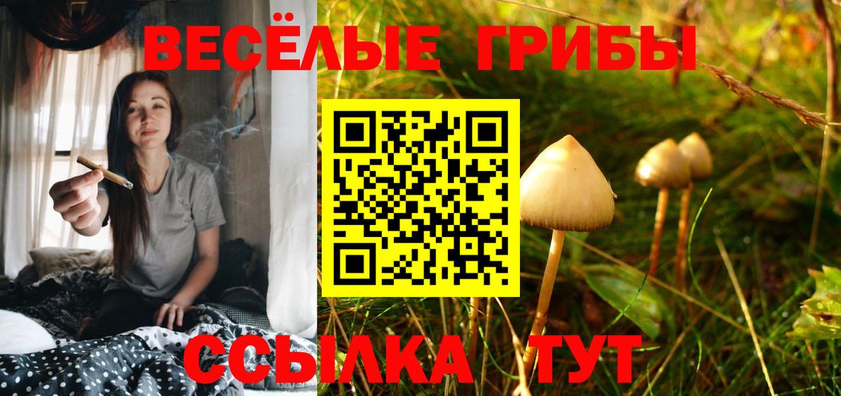 Урус-Мартан  Галлюциногенные грибы GOLDEN TEACHER  Вход с VPN 
