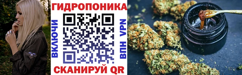 Бошки Шишки план  Урус-Мартан 
